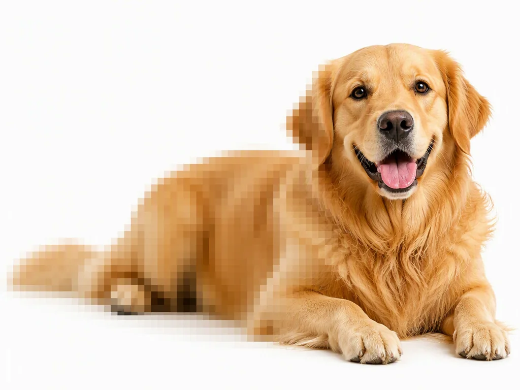 ぼやけた犬の写真がAIで鮮明にくっきり修復されるイメージ